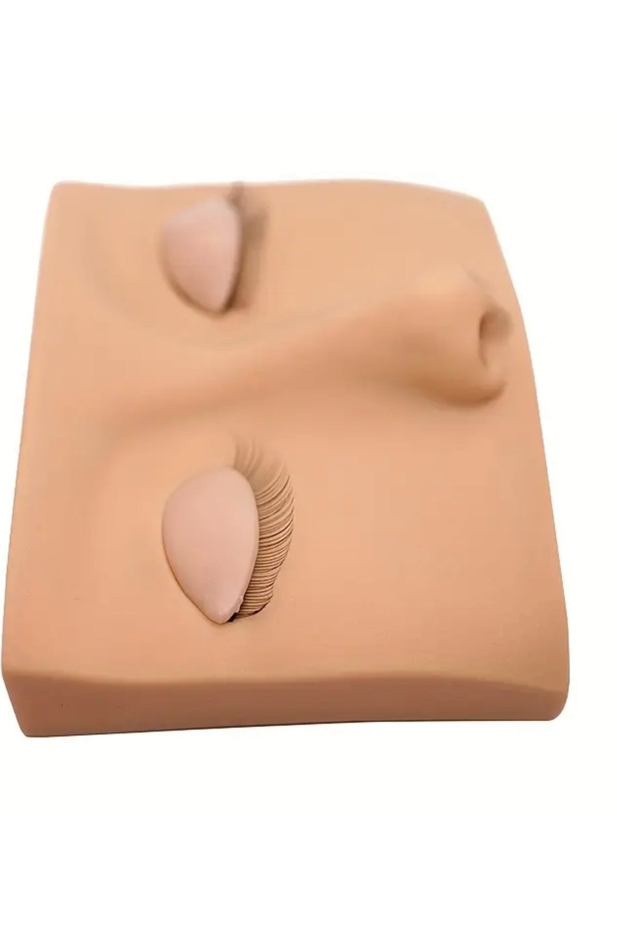 Silk eyelash model and 3 pairs of interchangeable eyelids