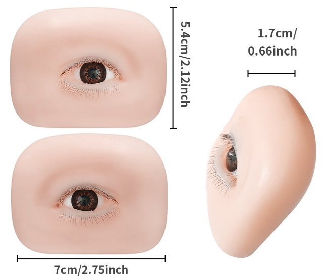 Silicone Eye Model with eyelashes