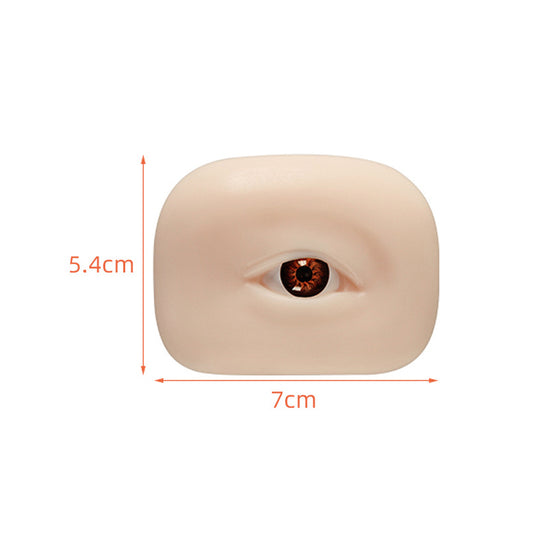 Eye Practice Model Soft Silicone