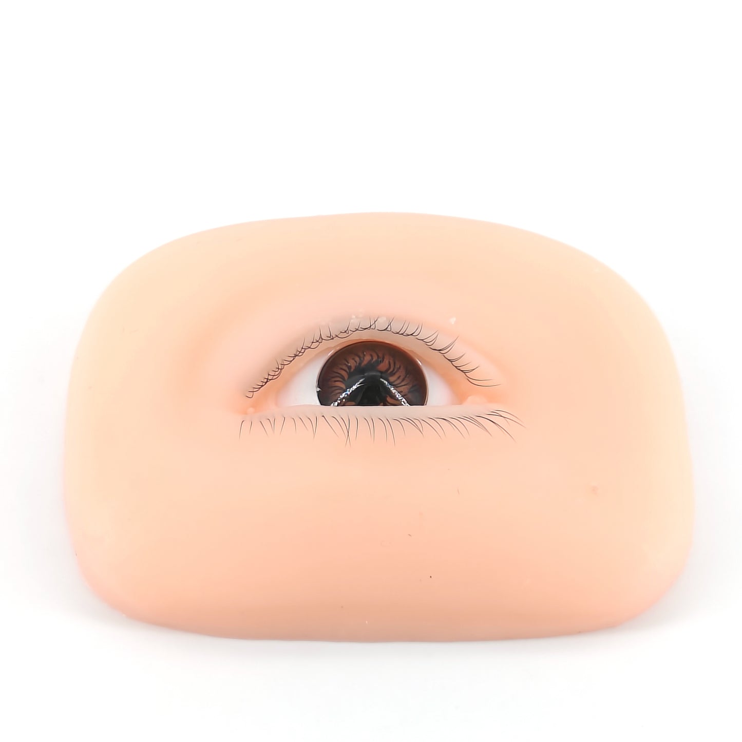 Silicone Eye Model with eyelashes